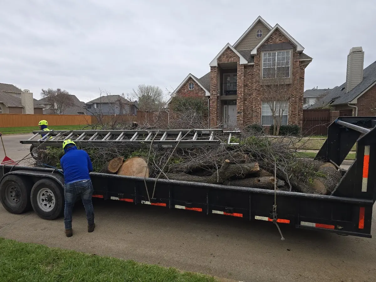 Expert Deadwooding with proper safety equipment in Manitowoc